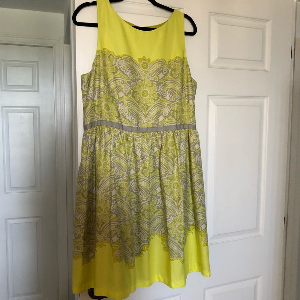 NWT Loft Dress